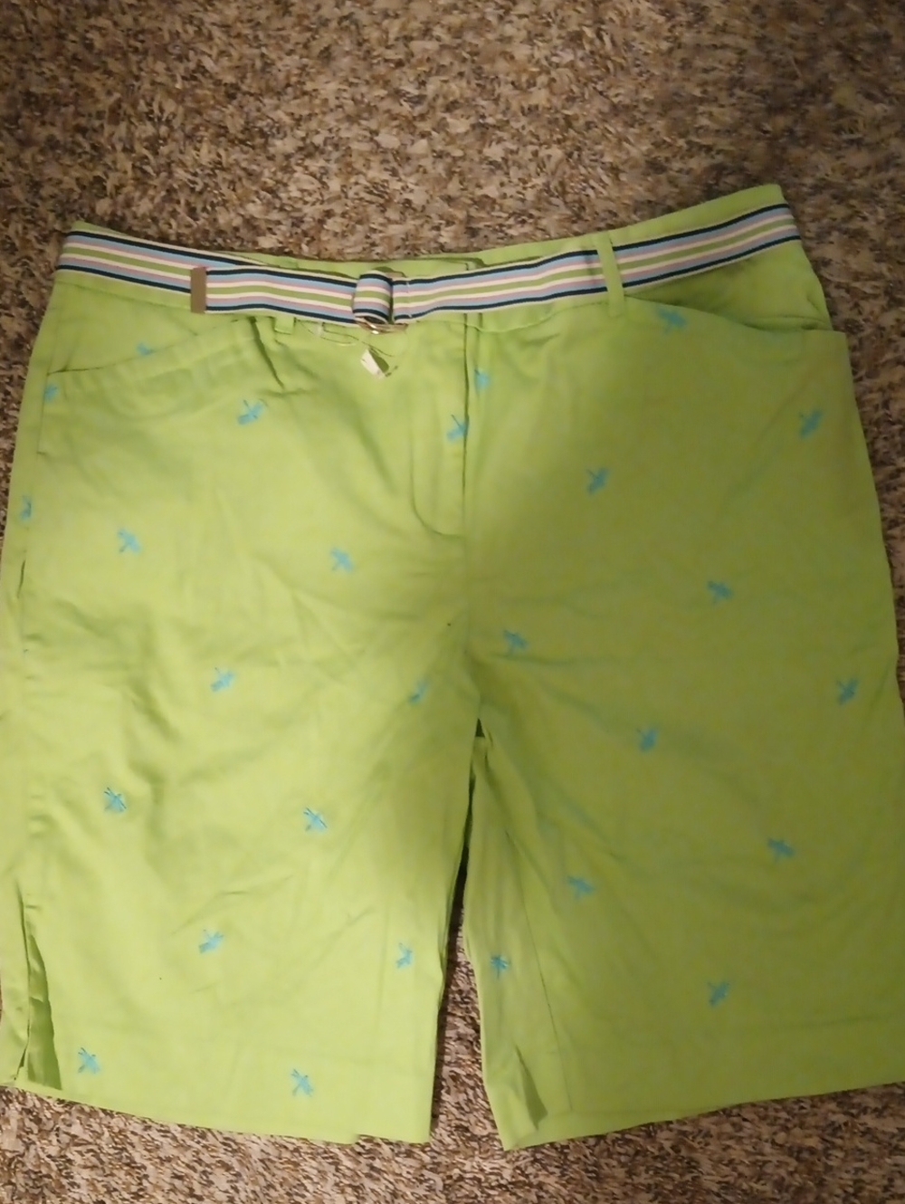 Vintage Charter Club Women’s Lime Embroidered Golf Shorts NWOT Sz 14